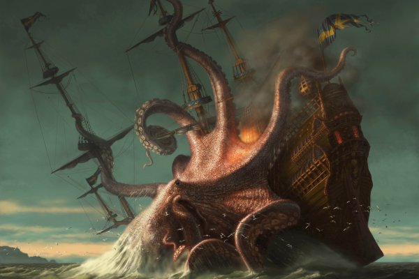 Kraken support